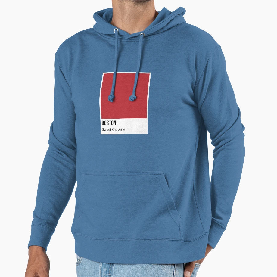 Boston V1 Hoodie - Custom Art Print for Adults - T-Shirt, Sweatshirt, Hoodie
