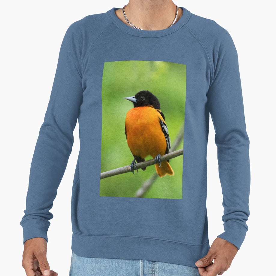 Baltimore Oriole Sweatshirt - Casual Everyday Wear Men Women - T-Shirt, Sweatshirt, Hoodie