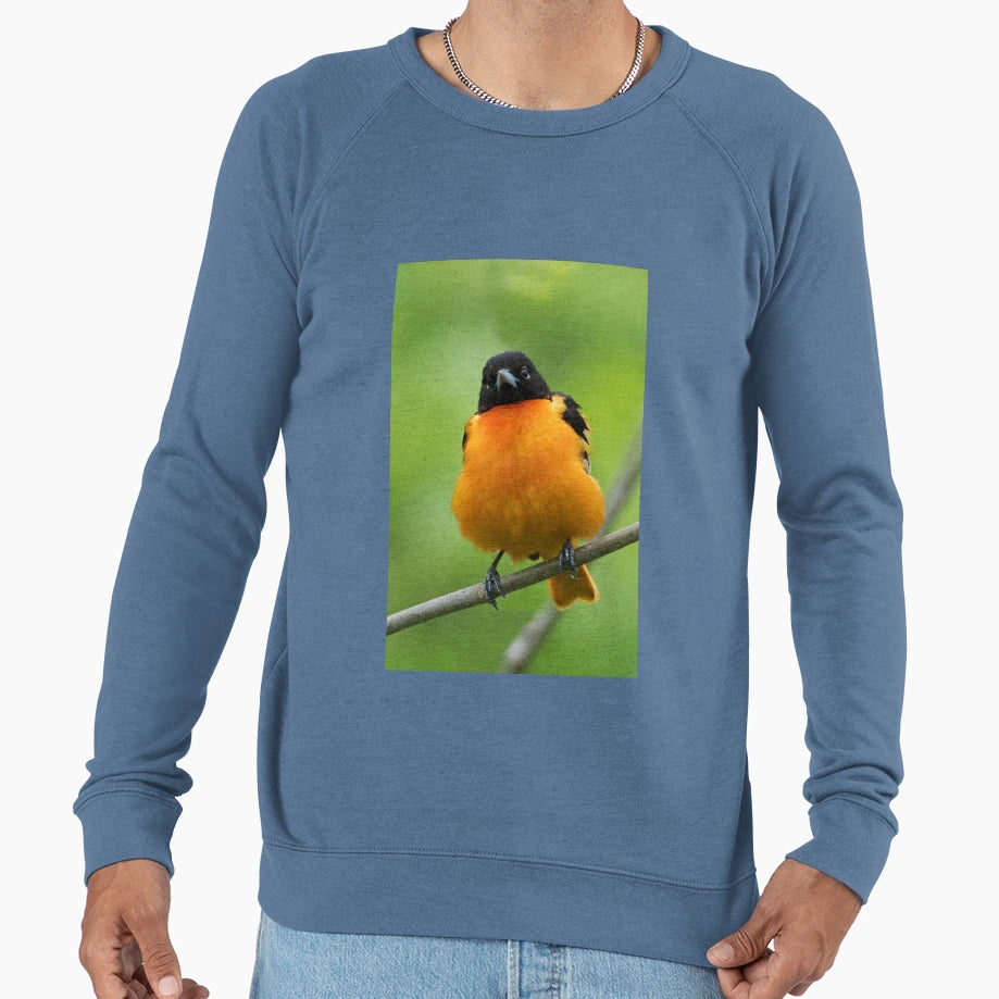 Puffy Baltimore Oriole Sweatshirt - Minimalist Print for Adults - T-Shirt, Sweatshirt, Hoodie