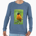Puffy Baltimore Oriole Sweatshirt - Minimalist Print for Adults - T-Shirt, Sweatshirt, Hoodie