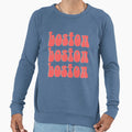 Boston Sweatshirt - Casual Everyday Wear for Adults - T-Shirt, Sweatshirt, Hoodie
