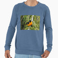 Perched Baltimore Oriole Sweatshirt - Graphic Print Unisex - T-Shirt, Sweatshirt, Hoodie