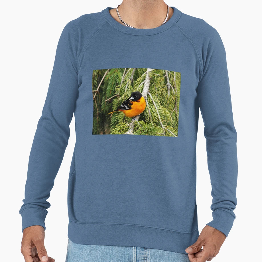 Perched Baltimore Oriole Sweatshirt - Graphic Print Unisex - T-Shirt, Sweatshirt, Hoodie
