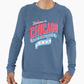 Chicago Illinois Sweatshirt - Casual Everyday Wear Unisex - T-Shirt, Sweatshirt, Hoodie