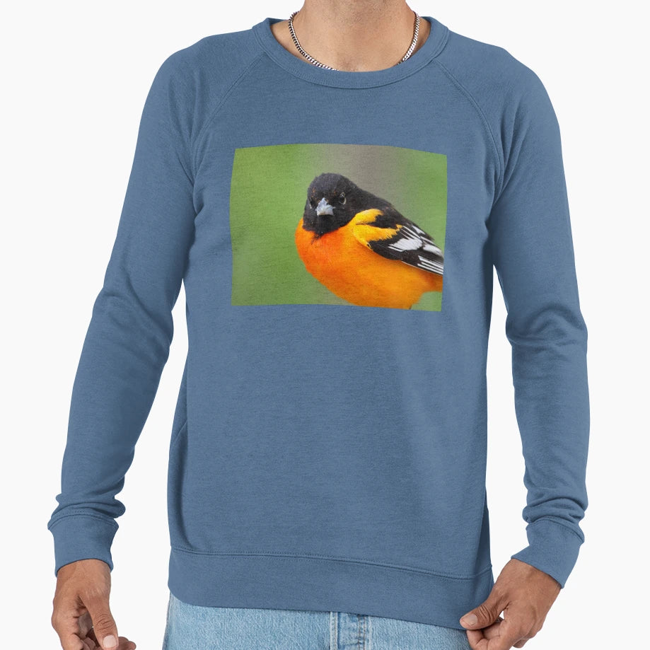 Baltimore Oriole Sweatshirt - Streetwear Style Unisex - T-Shirt, Sweatshirt, Hoodie