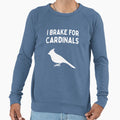 Funny Bird Watching I Brake Sweatshirt - Unique Graphic for Adults - T-Shirt, Sweatshirt, Hoodie