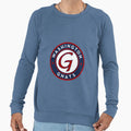 Washington Gnats Sweatshirt - Custom Art Print for Adults - T-Shirt, Sweatshirt, Hoodie