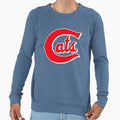 Fort Worth Cats Baseball Team Sweatshirt - Streetwear Style for Adults - T-Shirt, Sweatshirt, Hoodie