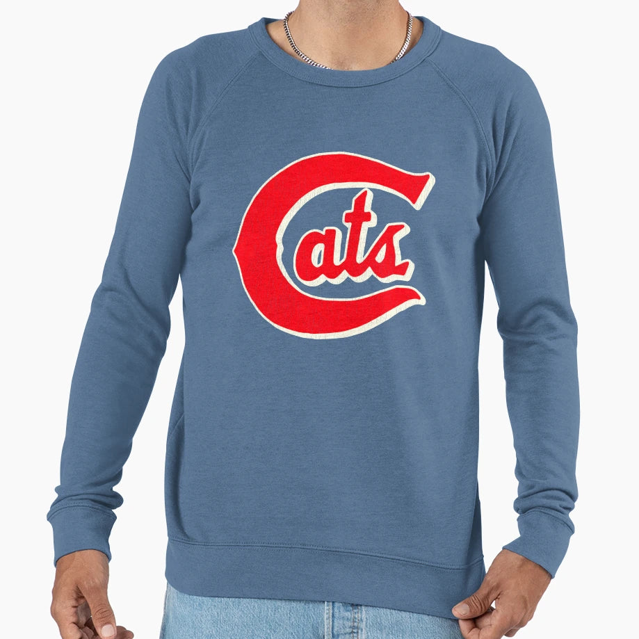 Fort Worth Cats Baseball Team Sweatshirt - Streetwear Style for Adults - T-Shirt, Sweatshirt, Hoodie