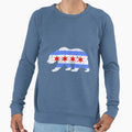 Chicago City Flag Distressed Bear Sweatshirt - Trendy Graphic Men Women - T-Shirt, Sweatshirt, Hoodie