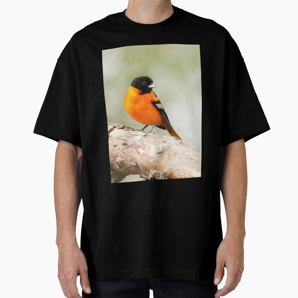 Baltimore Oriole Portrait T-Shirt - Aesthetic Graphic Unisex - T-Shirt, Sweatshirt, Hoodie