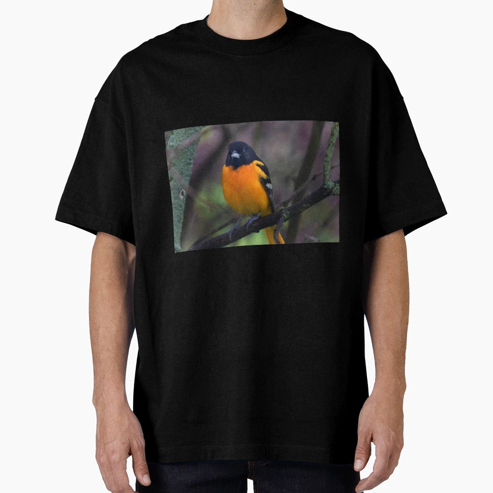 Male Baltimore Oriole T-Shirt - Minimalist Print for Adults - T-Shirt, Sweatshirt, Hoodie