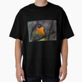 Male Baltimore Oriole T-Shirt - Minimalist Print for Adults - T-Shirt, Sweatshirt, Hoodie