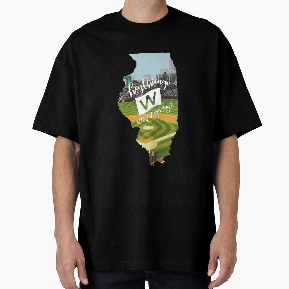 Hey Chicago What Do You Say Illinois T-Shirt - Aesthetic Graphic for Adults - T-Shirt, Sweatshirt, Hoodie