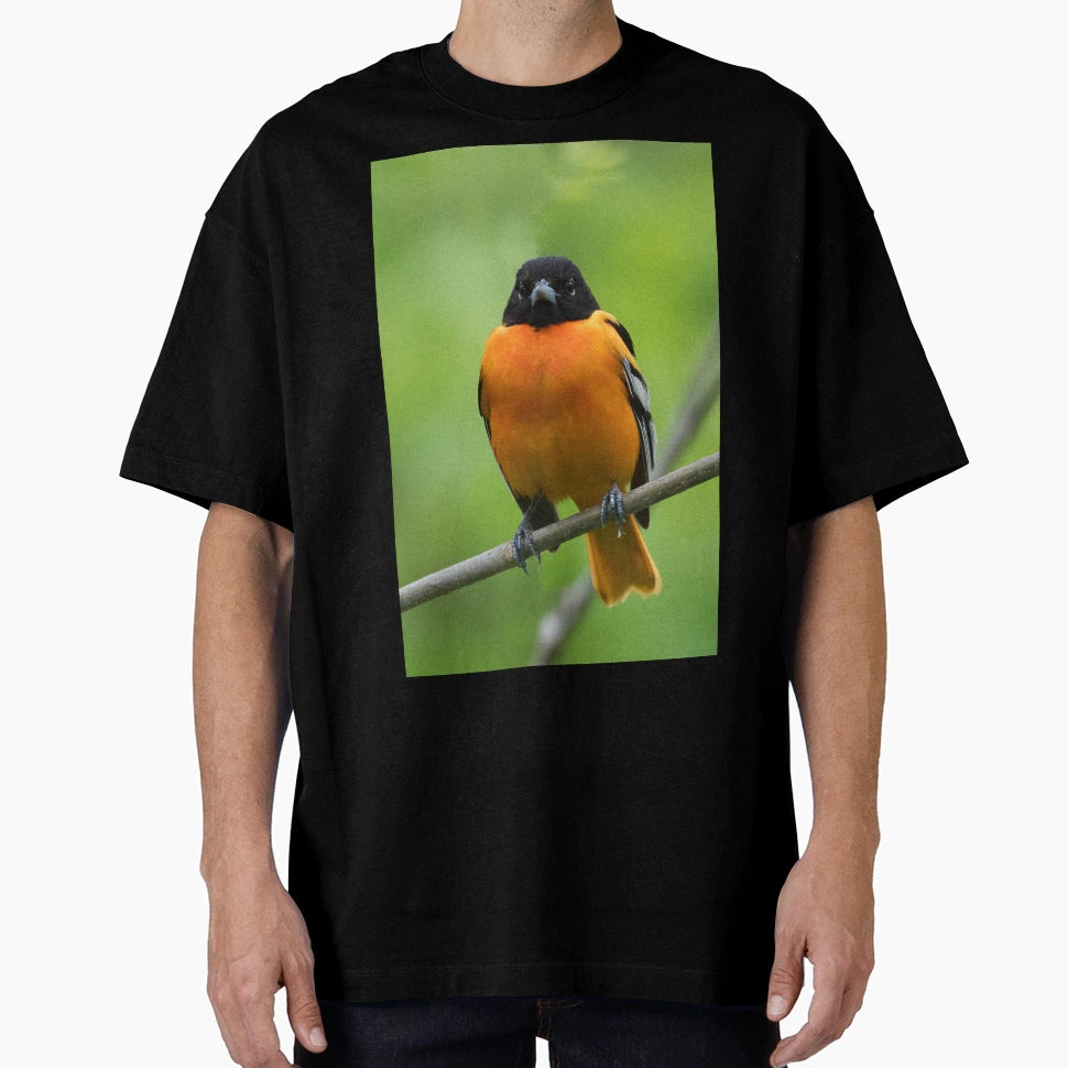 Baltimore Oriole T-Shirt - Aesthetic Graphic for Adults - T-Shirt, Sweatshirt, Hoodie