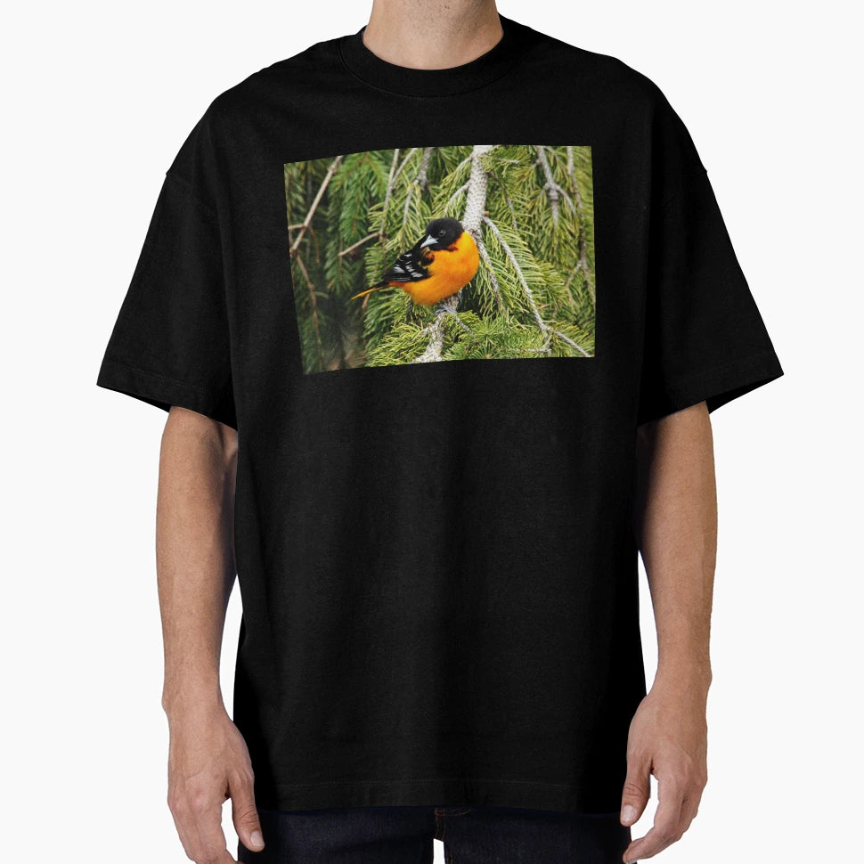 Perched Baltimore Oriole T-Shirt - Fun Novelty Design Unisex - T-Shirt, Sweatshirt, Hoodie