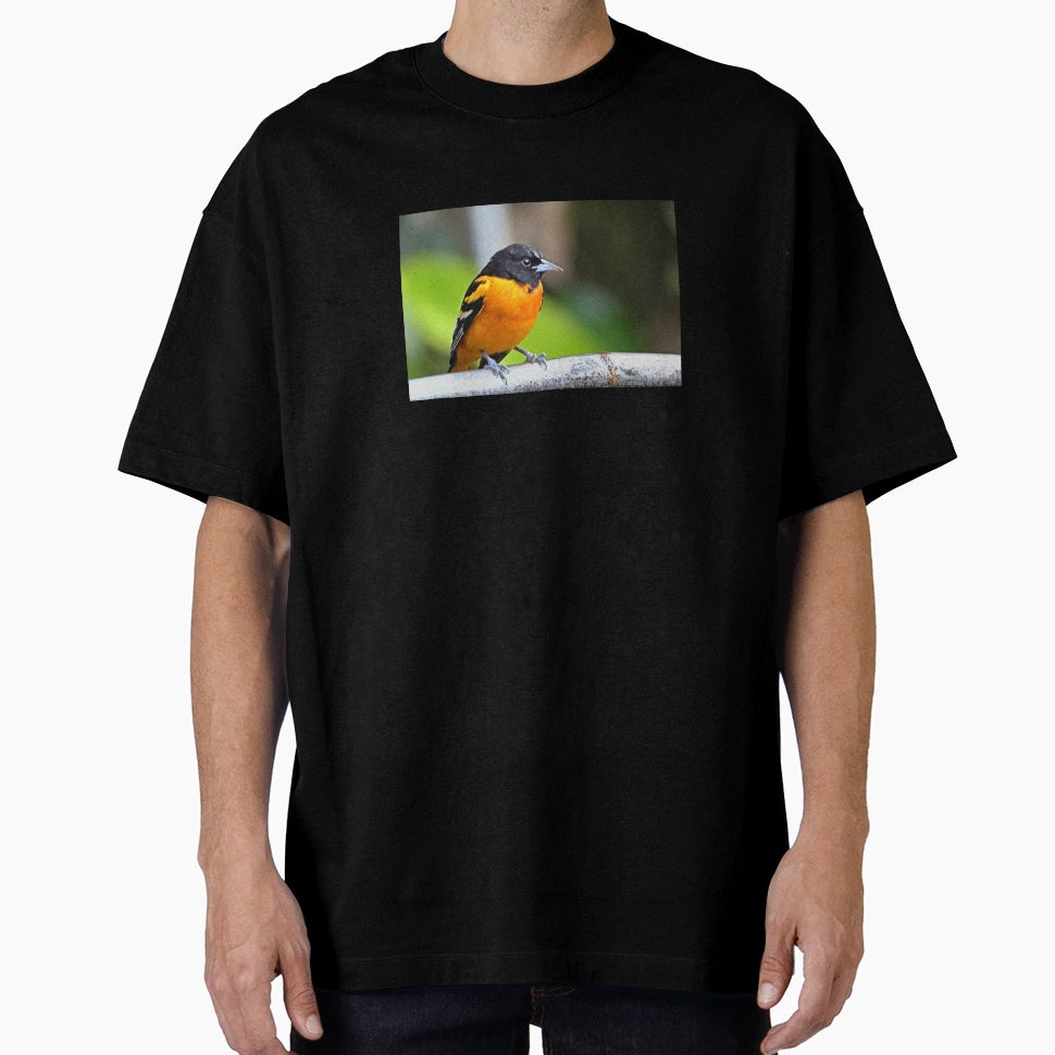 Baltimore Oriole T-Shirt - Unique Graphic for Adults - T-Shirt, Sweatshirt, Hoodie
