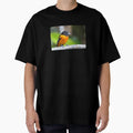 Baltimore Oriole T-Shirt - Unique Graphic for Adults - T-Shirt, Sweatshirt, Hoodie