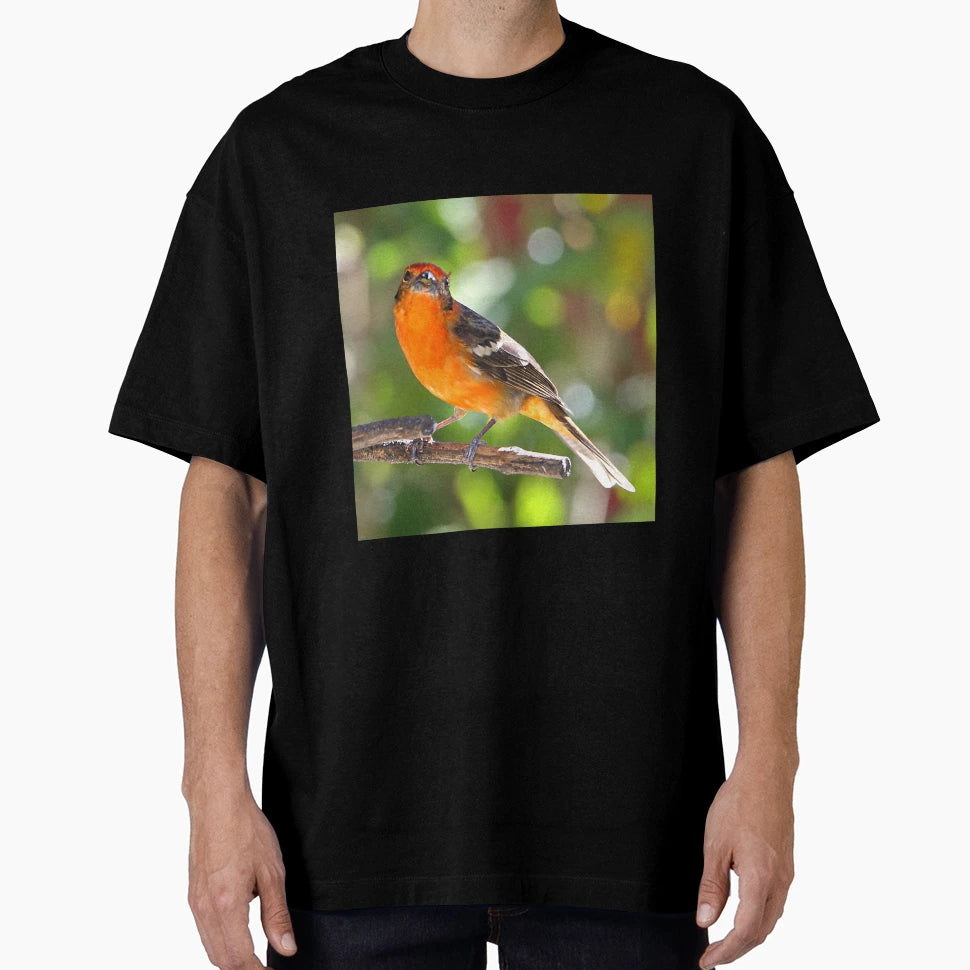 Baltimore Oriole T-Shirt - Streetwear Style for Adults - T-Shirt, Sweatshirt, Hoodie