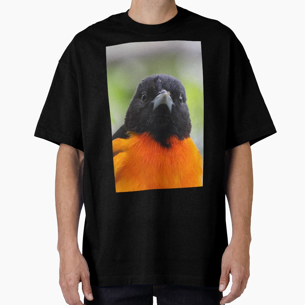 Baltimore Oriole T-Shirt - Fun Novelty Design Unisex - T-Shirt, Sweatshirt, Hoodie