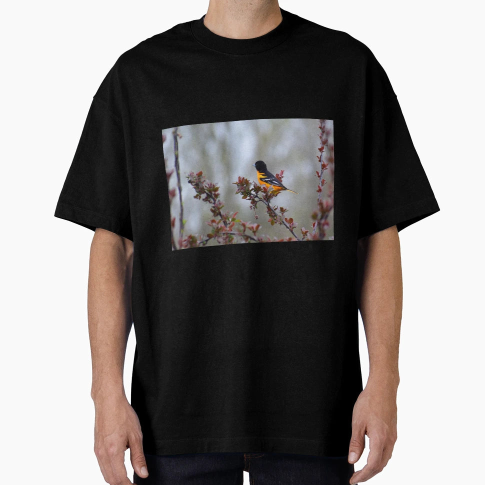 Oriole Singing T-Shirt - Streetwear Style Unisex - T-Shirt, Sweatshirt, Hoodie