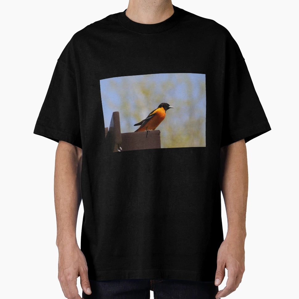 Northern Oriole T-Shirt - Trendy Graphic for Adults - T-Shirt, Sweatshirt, Hoodie