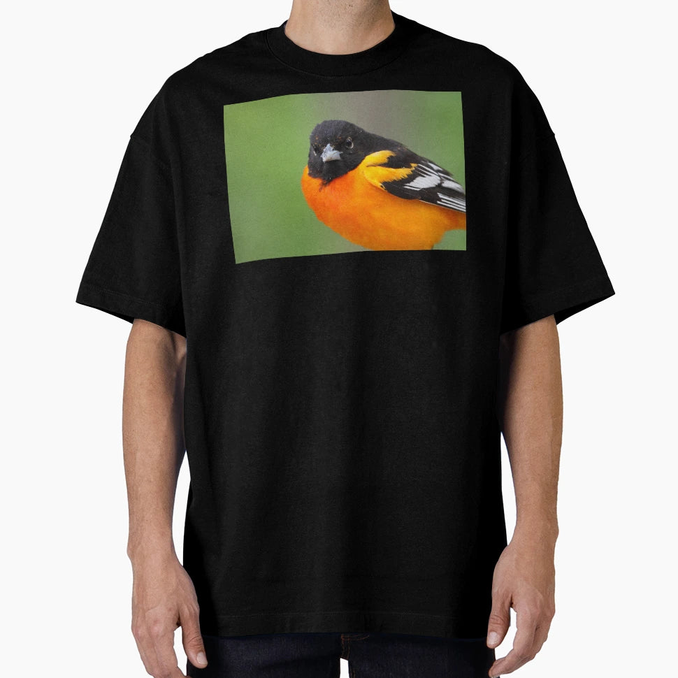 Baltimore Oriole T-Shirt - Minimalist Print Men Women - T-Shirt, Sweatshirt, Hoodie