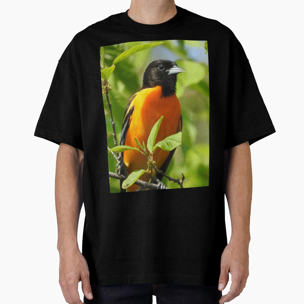 Baltimore Oriole T-Shirt - Unique Graphic for Adults - T-Shirt, Sweatshirt, Hoodie