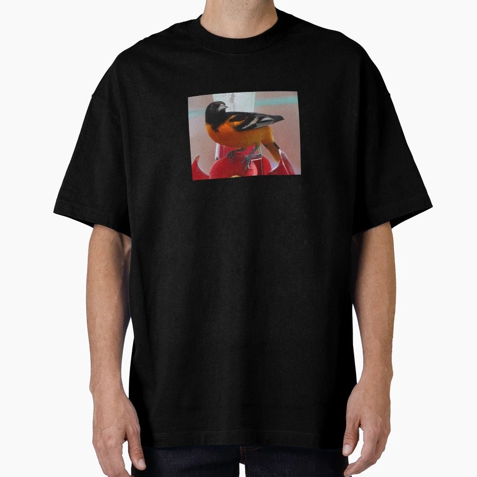 Beautiful Baltimore Oriole T-Shirt - Graphic Print Unisex - T-Shirt, Sweatshirt, Hoodie