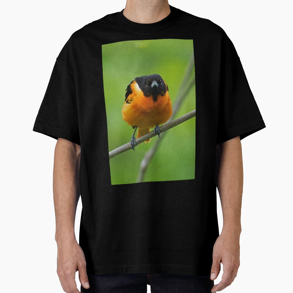 Baltimore Oriole T-Shirt - Streetwear Style for Adults - T-Shirt, Sweatshirt, Hoodie