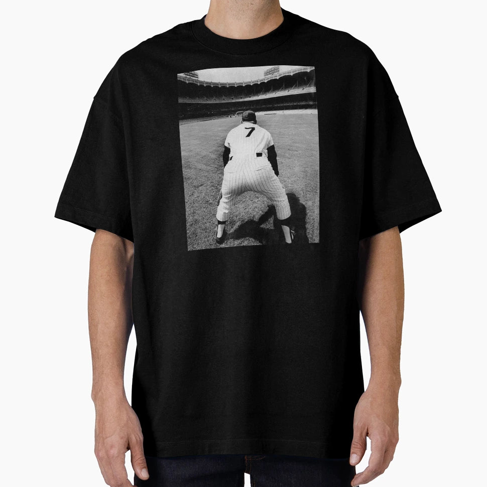 New York Baseball Stadium Old Ballparks T-Shirt - Graphic Print for Adults - T-Shirt, Sweatshirt, Hoodie