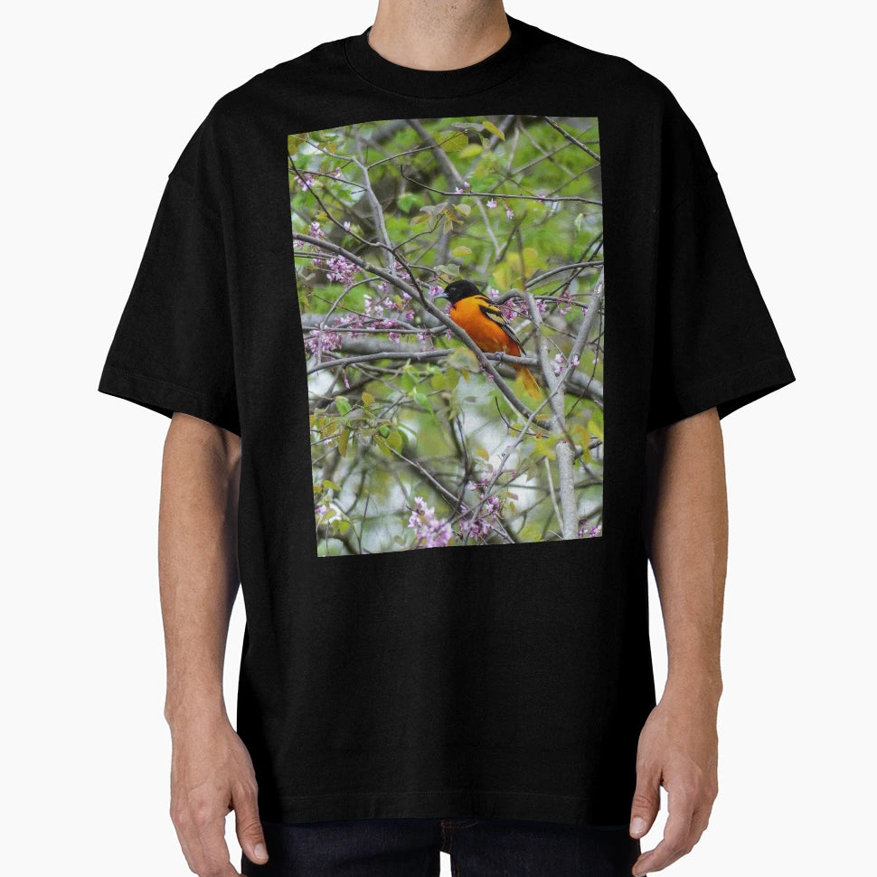 Baltimore Oriole T-Shirt - Fun Novelty Design Unisex - T-Shirt, Sweatshirt, Hoodie