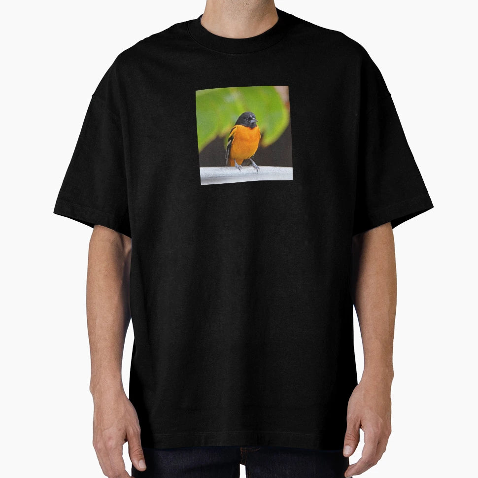 Baltimore Oriole T-Shirt - Fun Novelty Design for Adults - T-Shirt, Sweatshirt, Hoodie