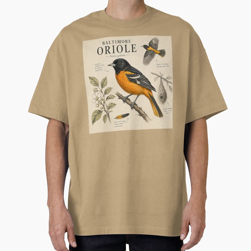 Baltimore Oriole Naturalist Bird T-Shirt - Novelty Apparel Unisex - T-Shirt, Sweatshirt, Hoodie