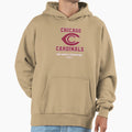 Chicago Cardinals 1924 World Champs Hoodie - Graphic Print Unisex - T-Shirt, Sweatshirt, Hoodie