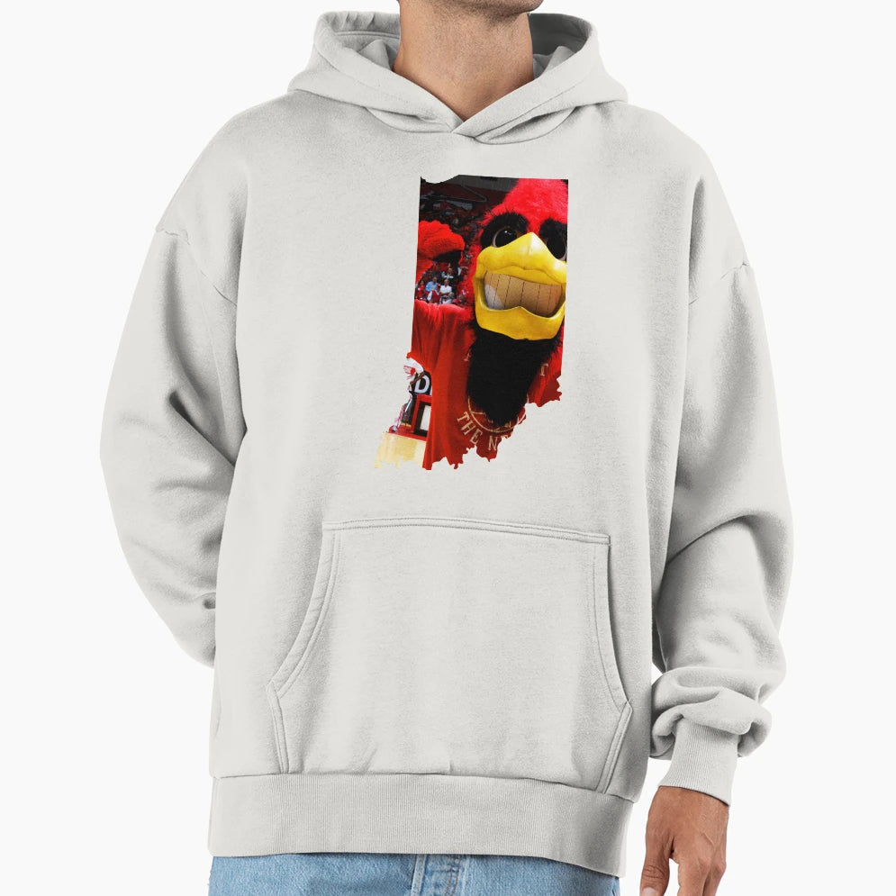 Cardinals Hoodie - Trendy Graphic for Adults - T-Shirt, Sweatshirt, Hoodie