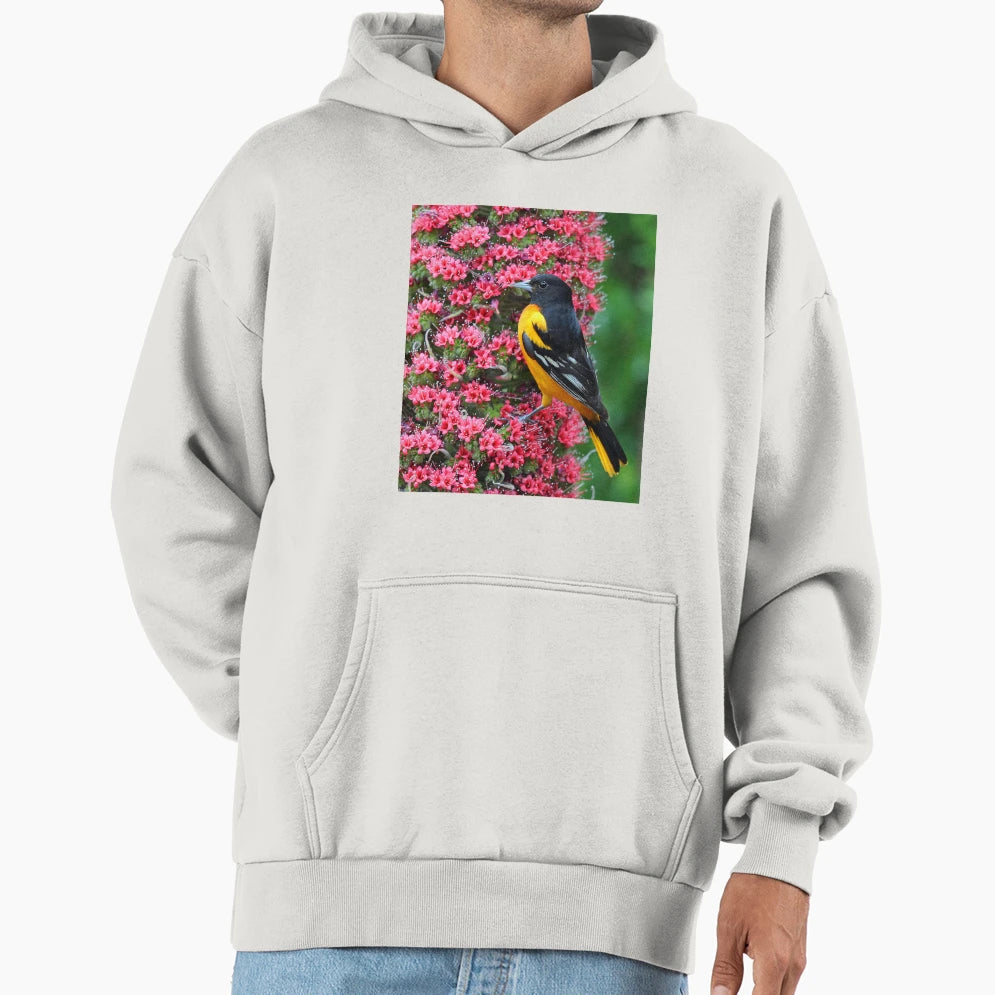 Baltimore Oriole Hoodie - Aesthetic Graphic Men Women - T-Shirt, Sweatshirt, Hoodie