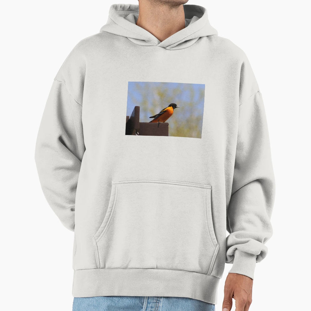 Northern Oriole Hoodie - Trendy Graphic for Adults - T-Shirt, Sweatshirt, Hoodie