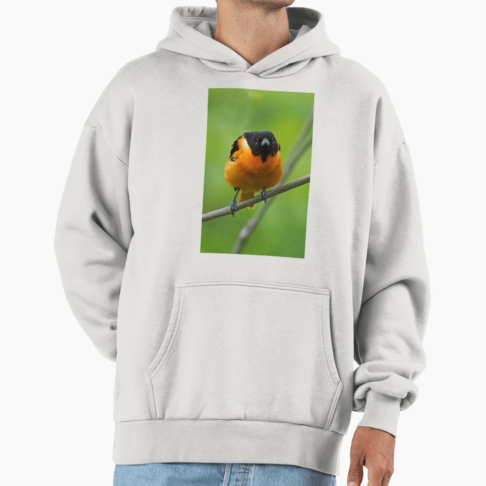 Baltimore Oriole Hoodie - Unique Graphic Unisex - T-Shirt, Sweatshirt, Hoodie