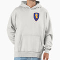 1St Avn Bde Golden Hawks Hoodie - Aesthetic Graphic Men Women - T-Shirt, Sweatshirt, Hoodie