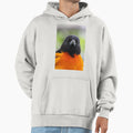 Baltimore Oriole Hoodie - Trendy Graphic for Adults - T-Shirt, Sweatshirt, Hoodie