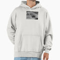 Houston Baseball Stadiums Colt 45 Hoodie - Custom Art Print for Adults - T-Shirt, Sweatshirt, Hoodie