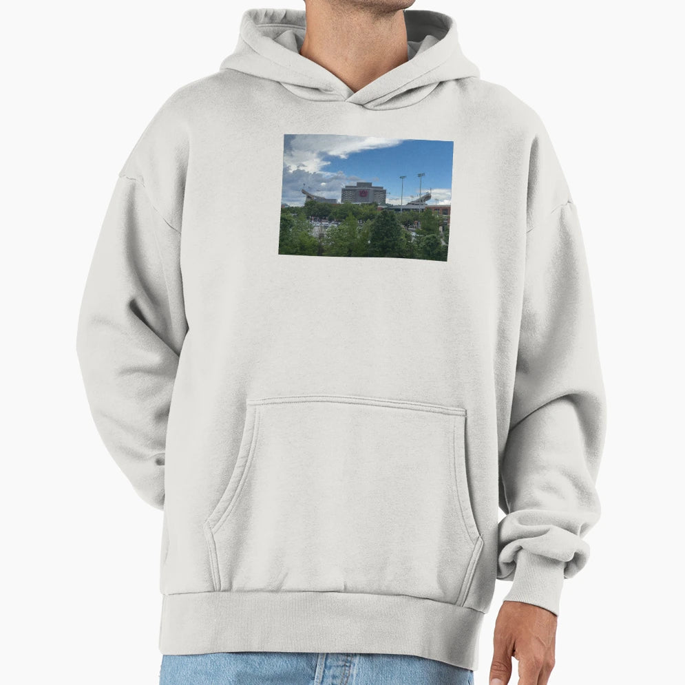 Views Auburn Alabama Hoodie - Streetwear Style Men Women - T-Shirt, Sweatshirt, Hoodie