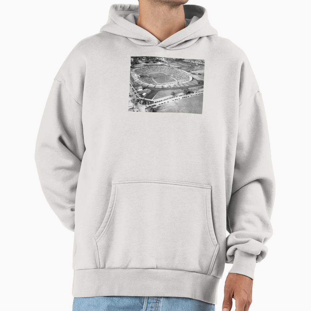 Michigan Stadium Ann Arbor Michigan Hoodie - Unique Graphic for Adults - T-Shirt, Sweatshirt, Hoodie