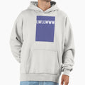 Fly W Lwllwww Chicago Baseball Tri Hoodie - Custom Art Print Men Women - T-Shirt, Sweatshirt, Hoodie