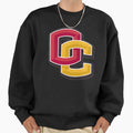 Oberlin College Sweatshirt - Casual Everyday Wear Men Women - T-Shirt, Sweatshirt, Hoodie