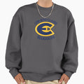 University Wisconsin Eau Claire Sweatshirt - Novelty Apparel Men Women - T-Shirt, Sweatshirt, Hoodie
