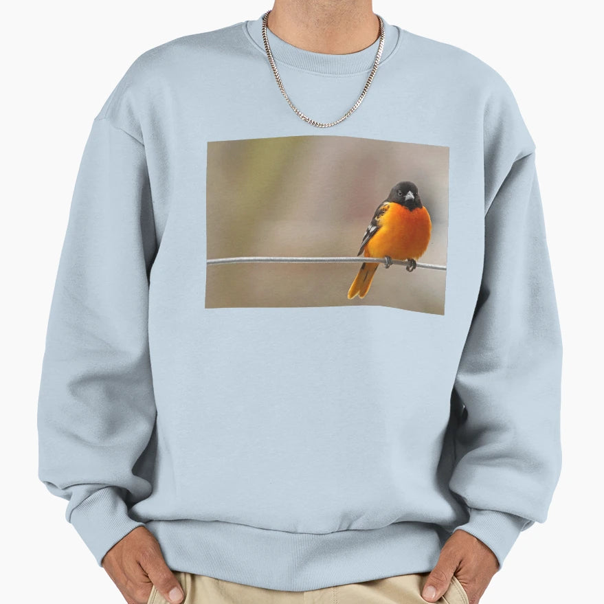 Oriole Line Sweatshirt - Graphic Print Men Women - T-Shirt, Sweatshirt, Hoodie