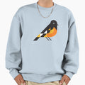 Oriole Sweatshirt - Casual Everyday Wear Unisex - T-Shirt, Sweatshirt, Hoodie