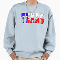 Texas Dinos Sweatshirt - Minimalist Print for Adults - T-Shirt, Sweatshirt, Hoodie